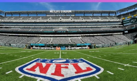MetLife Stadium playing surface