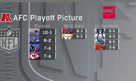 NFL Playoff Picture Week 12